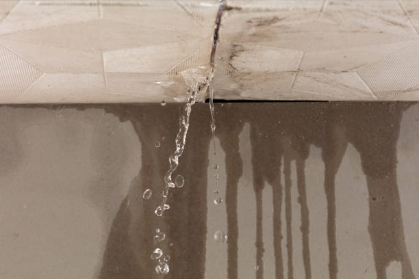 Professional Burst Pipe Cleanup technician working in College Grove, TN